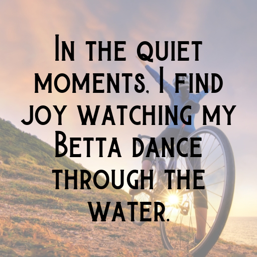 Betta Captions Photo For Instagram In 2025-viY8Yv