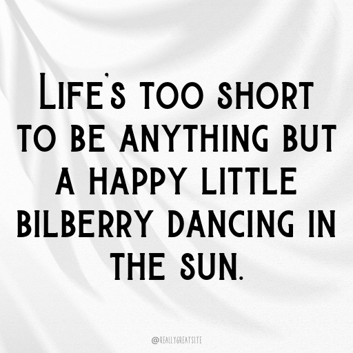 152+ Bilberry Captions For Instagram In 2025 4 Bilberry Captions Image For Instagram In 2025-b0TdaF