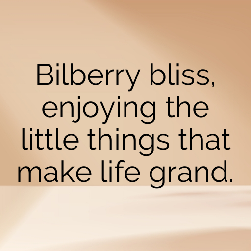 152+ Bilberry Captions For Instagram In 2025 5 Bilberry Captions Photo For Instagram In 2025-2dNCM1