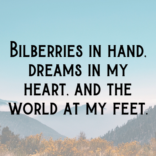 152+ Bilberry Captions For Instagram In 2025 10 Bilberry Captions Photo For Instagram In 2025-miVA1G