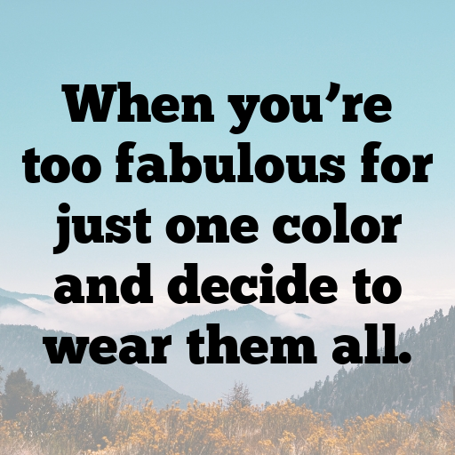 Bird of Paradise Captions Image For Instagram In [2025]-3kkrx2