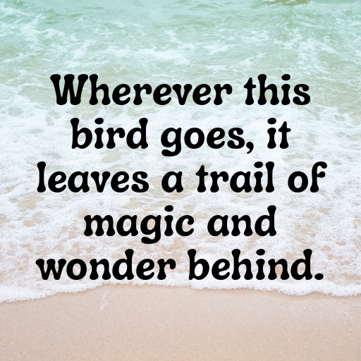 Bird of Paradise Captions Image For Instagram In [2025]-iGQ6Bt