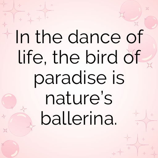 Bird of Paradise Captions Image For Instagram In [2025]-KhGazd