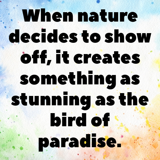 Bird of Paradise Captions Image For Instagram In [2025]-zlZiyB