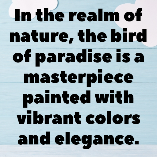 Bird of Paradise Captions Photo For Instagram In [2025]-bE1SgO