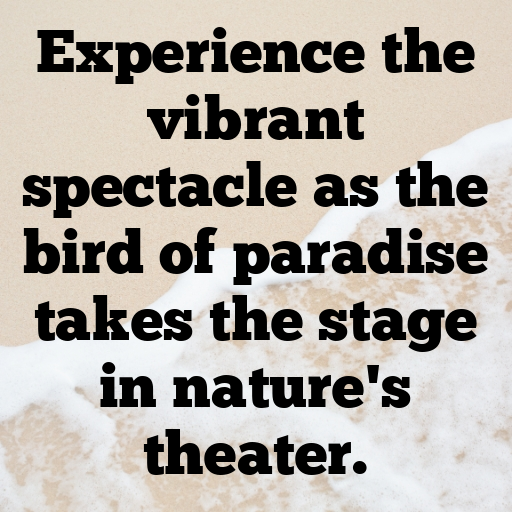 Bird of Paradise Captions Photo For Instagram In [2025]-s1q3IO