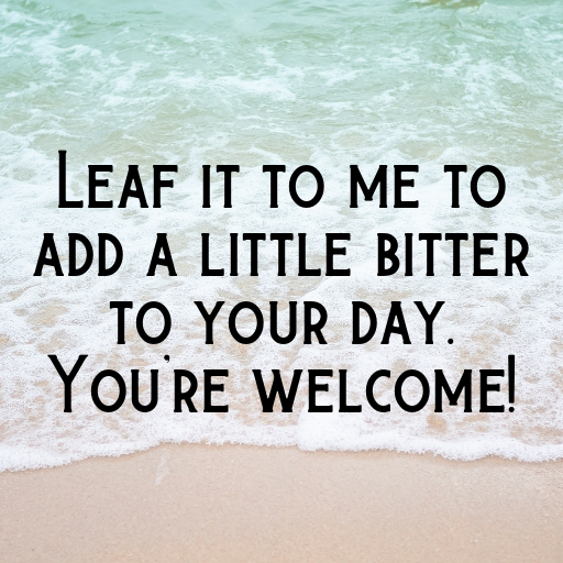 Bitterleaf Captions Photo For Instagram In (2025)-7v3WFB