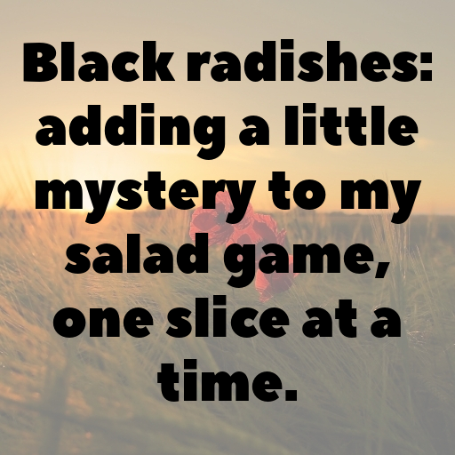 Black Radish Captions Image For Instagram In [2025]-8FJ1Cq