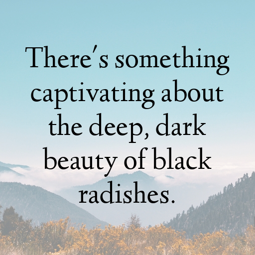 Black Radish Captions Photo For Instagram In [2025]-KlCmih