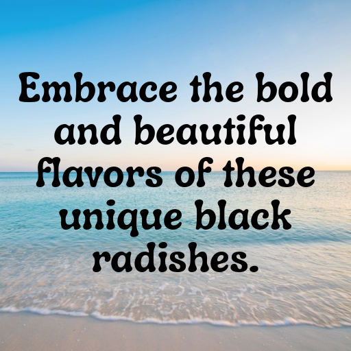 Black Radish Captions Photo For Instagram In [2025]-L186Eo