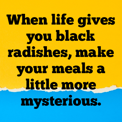 Black Radish Captions Photo For Instagram In [2025]-roso9L