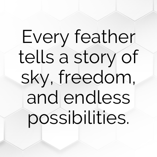 Blue Jay Captions Photo For Instagram In (2025)-der8ca