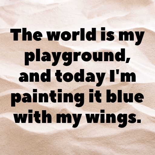 Blue Jay Captions Photo For Instagram In (2025)-Xbh9OZ