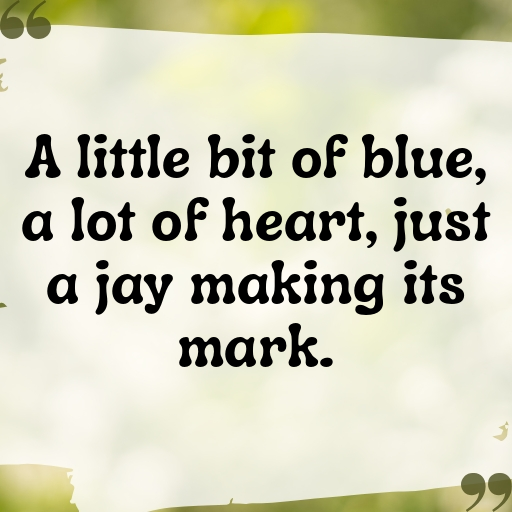 Blue Jay Captions Photo For Instagram In (2025)-xjO0uf