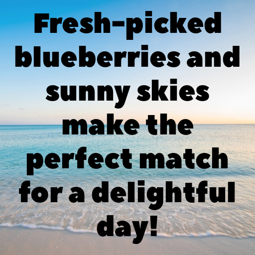 Blueberry Captions Image For Instagram In (2025)-R4JnnN