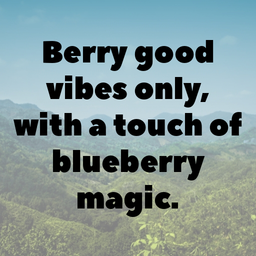 Blueberry Captions Photo For Instagram In (2025)-AR8Ns8