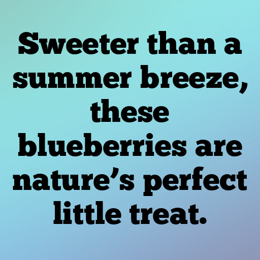 Blueberry Captions Photo For Instagram In (2025)-TFkCXR