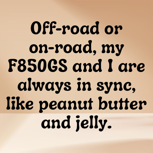 BMW F850GS Captions Photo for Instagram In (2025)-WjFrnT