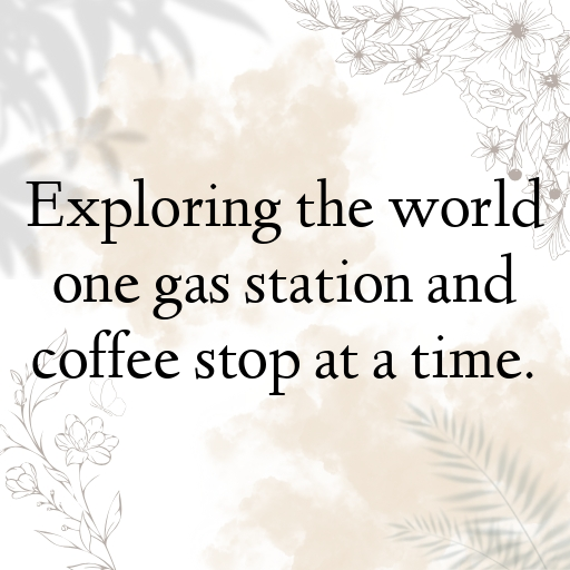 163+ BMW R1250GS Captions for Instagram In (2025) 4 BMW R1250GS Captions Image for Instagram In (2025)-sYeYTk