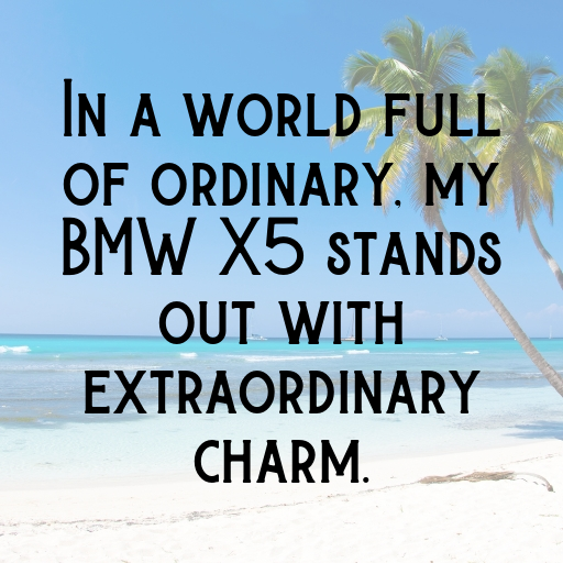 BMW X5 Captions Image for Instagram In [2025]-zO3gJO