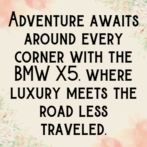 BMW X5 Captions Photo for Instagram In [2025]-VwfC5U