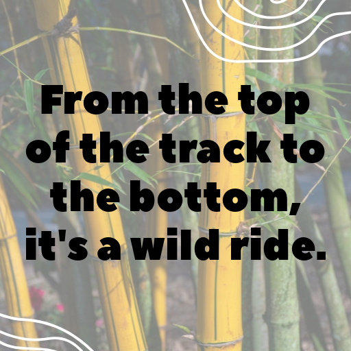 Bobsleigh Captions Image for Instagram In [2025]-bTWMly