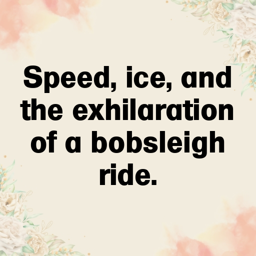 Bobsleigh Captions Photo for Instagram In [2025]-uMwmK5