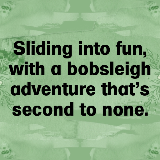 Bobsleigh Captions Photo for Instagram In [2025]-W6aDGp