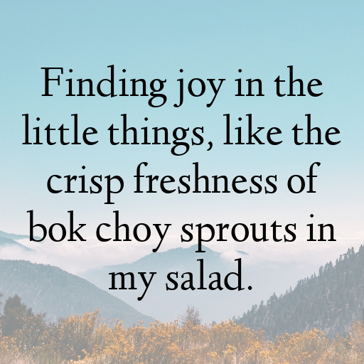 Bok Choy Sprouts Captions Image For Instagram In 2025-zpm5On