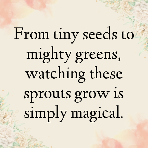 Bok Choy Sprouts Captions Photo For Instagram In 2025-hyyzan