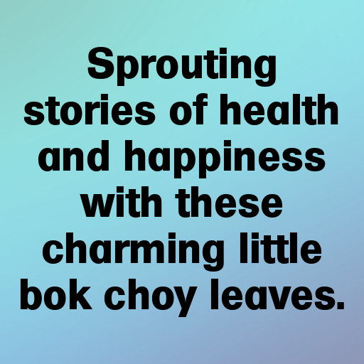 Bok Choy Sprouts Captions Photo For Instagram In 2025-zuLZIJ