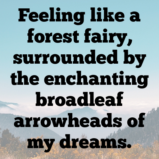 Broadleaf Arrowhead Captions Image For Instagram In (2025)-tyOXFg