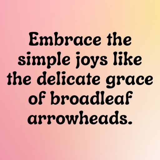 Broadleaf Arrowhead Captions Photo For Instagram In (2025)-1d77Xb