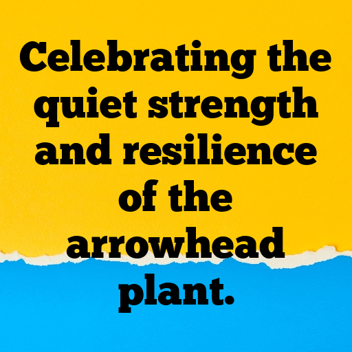 Broadleaf Arrowhead Captions Photo For Instagram In (2025)-g4UtKz