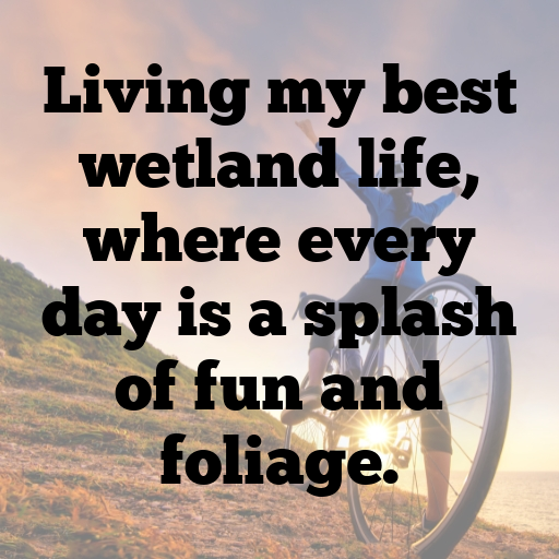 Broadleaf Arrowhead Captions Photo For Instagram In (2025)-ssUgbg