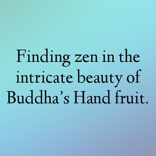 Buddha’s Hand Captions Image For Instagram In [2025]-7qnAjI