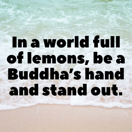 Buddha’s Hand Captions Image For Instagram In [2025]-BOuNVK