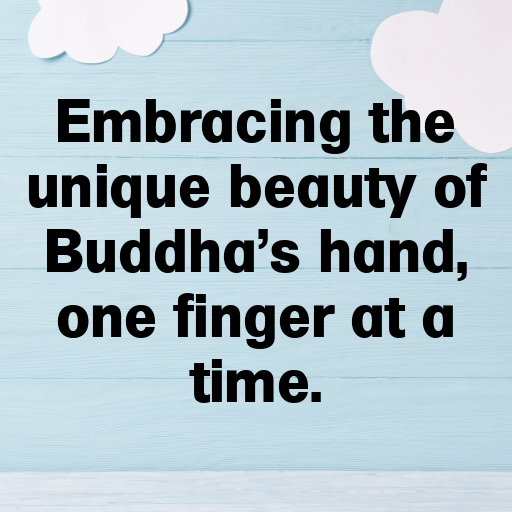 Buddha’s Hand Captions Image For Instagram In [2025]-JBv2cL