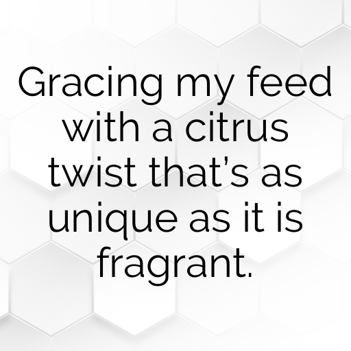 Buddha’s Hand Captions Image For Instagram In [2025]-Q3WpFT