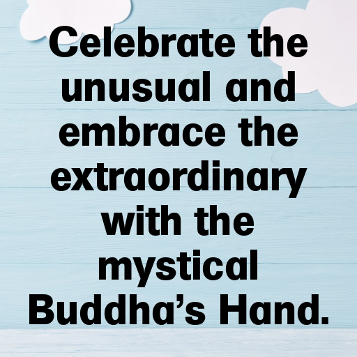 Buddha’s Hand Captions Photo For Instagram In [2025]-cGtrqW