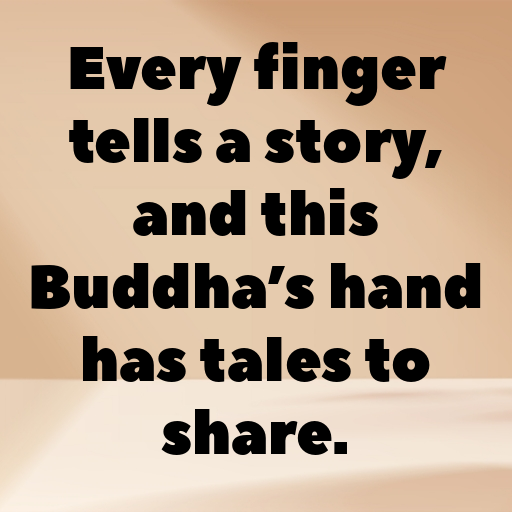 Buddha’s Hand Captions Photo For Instagram In [2025]-PF3JSi