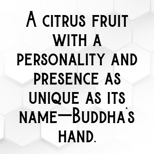 Buddha’s Hand Captions Photo For Instagram In [2025]-Z88r7p