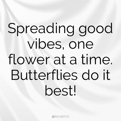 Butterfly Captions Image For Instagram In 2025-Zsuq1E