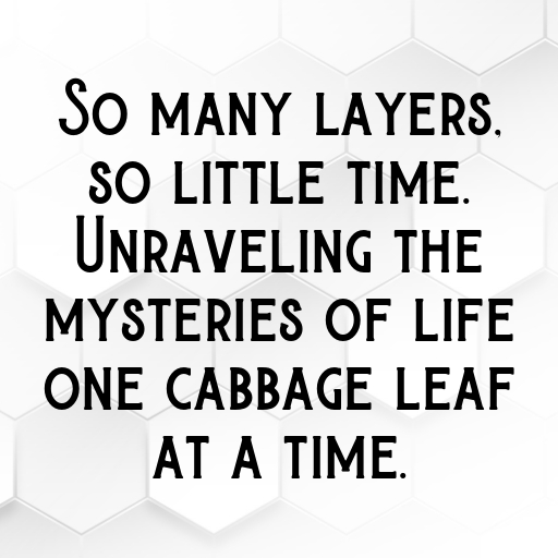 Cabbage Captions Image For Instagram In 2025-t4DSqx