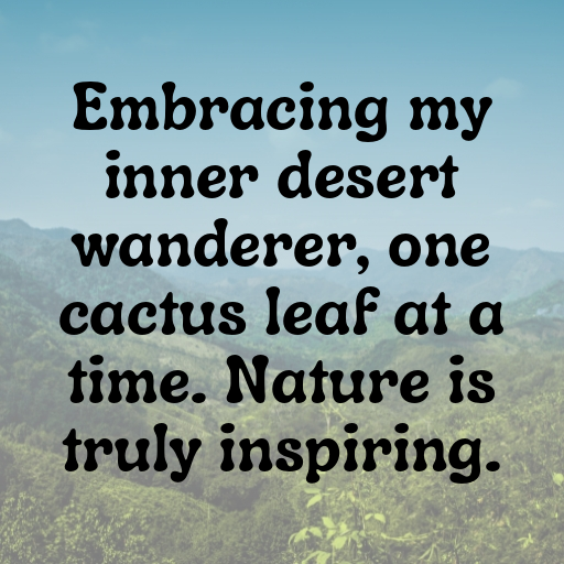 Cactus Leaf Captions Photo For Instagram In [2025]-FqC8XQ