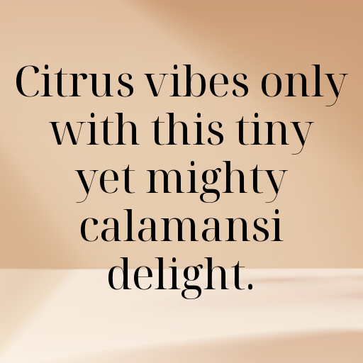 Calamansi Captions Image For Instagram In [2025]-ge3a31