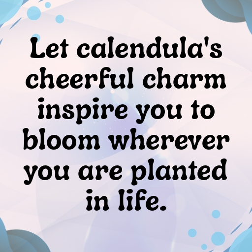 Calendula Captions Image For Instagram In 2025-rBRm8c