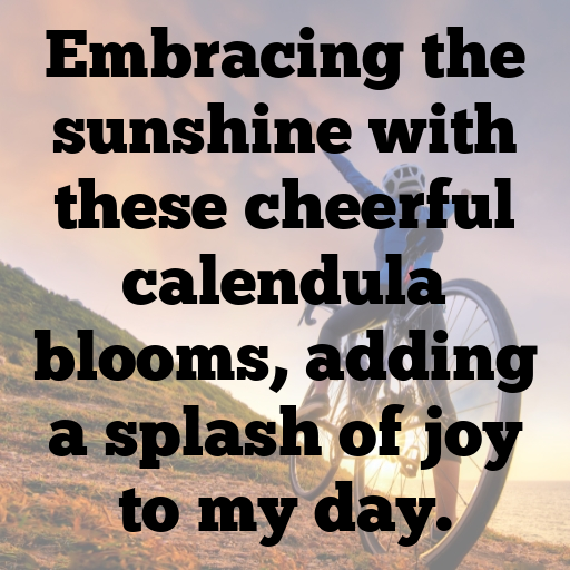 Calendula Captions Photo For Instagram In 2025-GksSI8