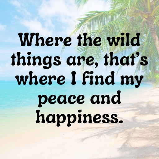 Camping Trip Captions Photo for Instagram In (2025)-rMTS7n