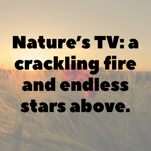 Camping Trip Captions Photo for Instagram In (2025)-YanJal